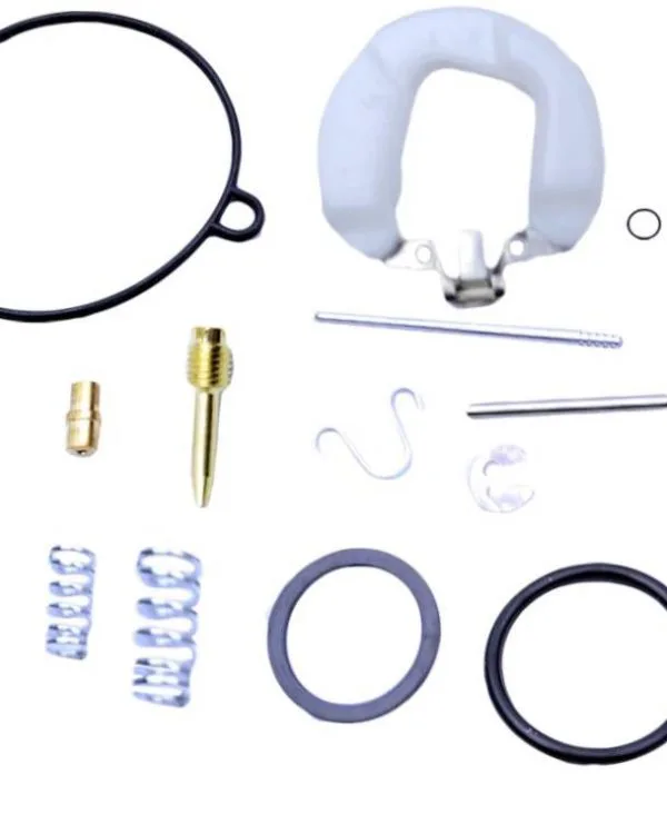 Kit revisione carburatore PZ19