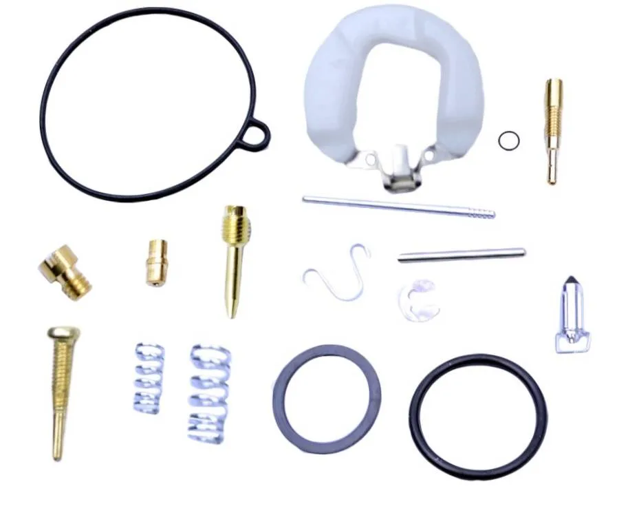 Kit revisione carburatore PZ19