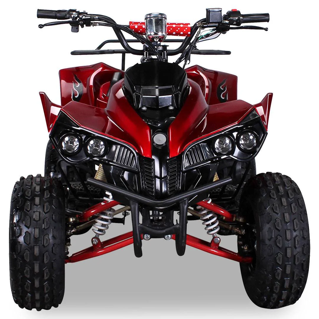 Quad Warrios elettrico 1000W 48V ruote da 8″, foto 8