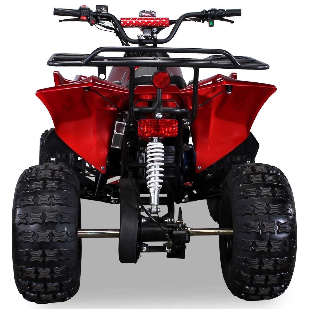 Quad Warrios elettrico 1000W 48V ruote da 8″, foto 7