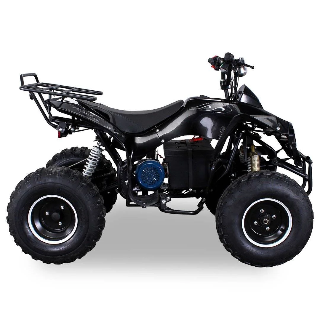 Quad Warrios elettrico 1000W 48V ruote da 8″, foto 2