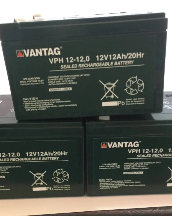 Pacco di 3 batterie 12Ah x 36V vantag