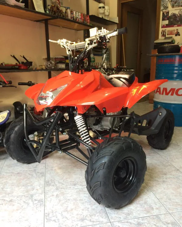 Quad Raptor 110cc 4T ruota 7″ avviamento elettrico, luci, telecomando, retromarcia