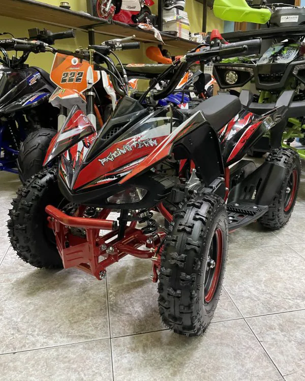 Mini quad Predator 50 cc, ruota 6″