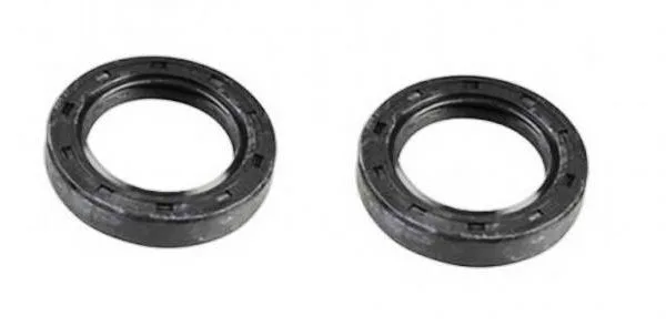 Coppia paraoli 15*25*7 banco motore