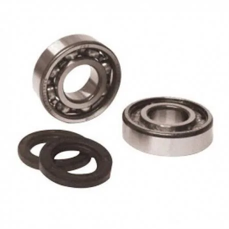Coppia paraoli 15*25*7 + cuscinetti banco motore