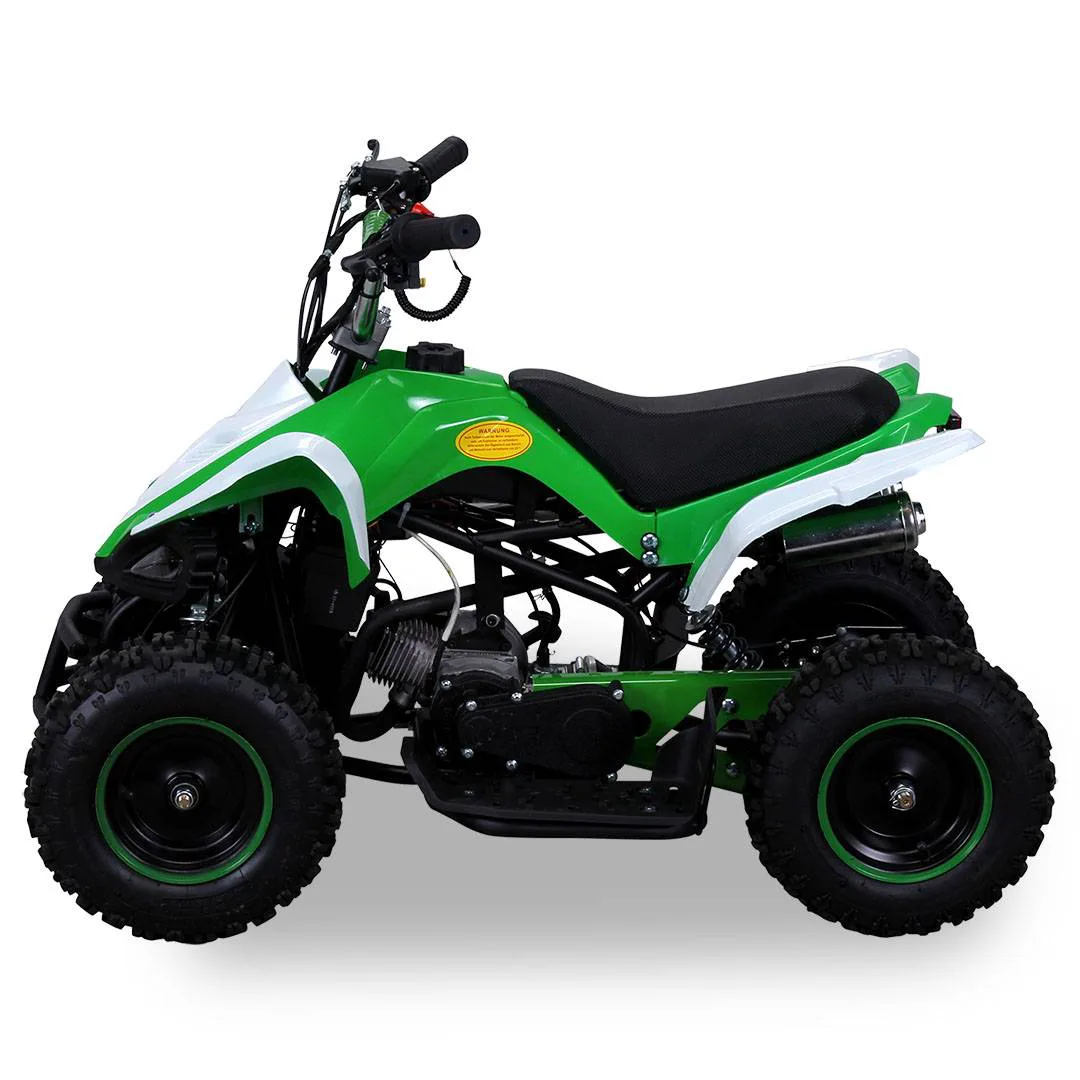 Mini quad Predator 50cc 2T ruota 6″ avviamento elettrico luci telecomando, foto 3