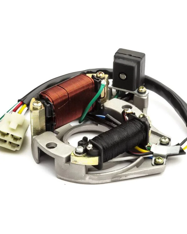 Statore magnete per pit bike con motori 4T