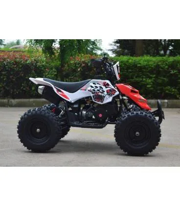 Mini quad Raptor 50cc 2T ruota 6″, foto 3