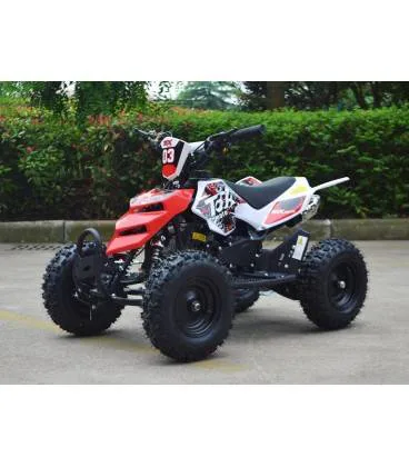 Mini quad Raptor 50cc 2T ruota 6″