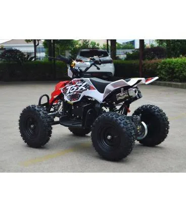 Mini quad Raptor 50cc 2T ruota 6″, foto 2