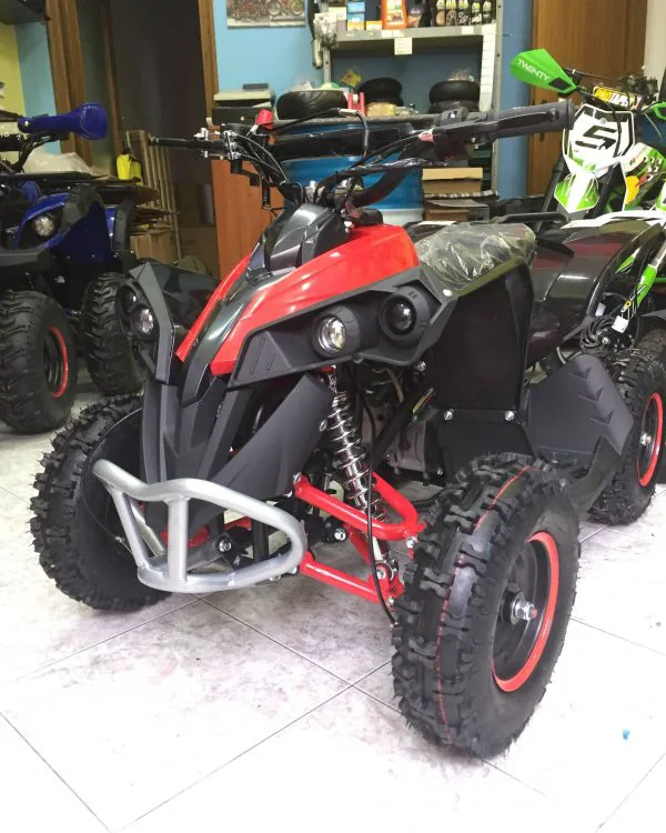 Mini quad Ranegade 50cc 2T ruota 6″