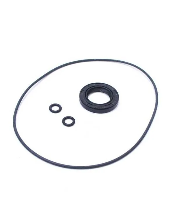 Kit o-ring accensione statore