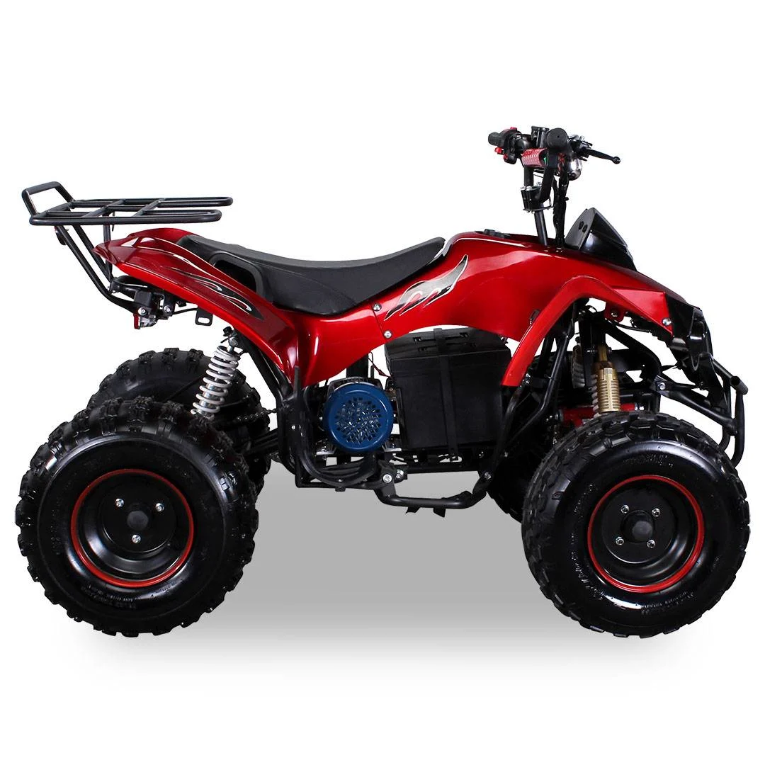 Quad Warrios elettrico 1000W 48V ruote da 8″, foto 9