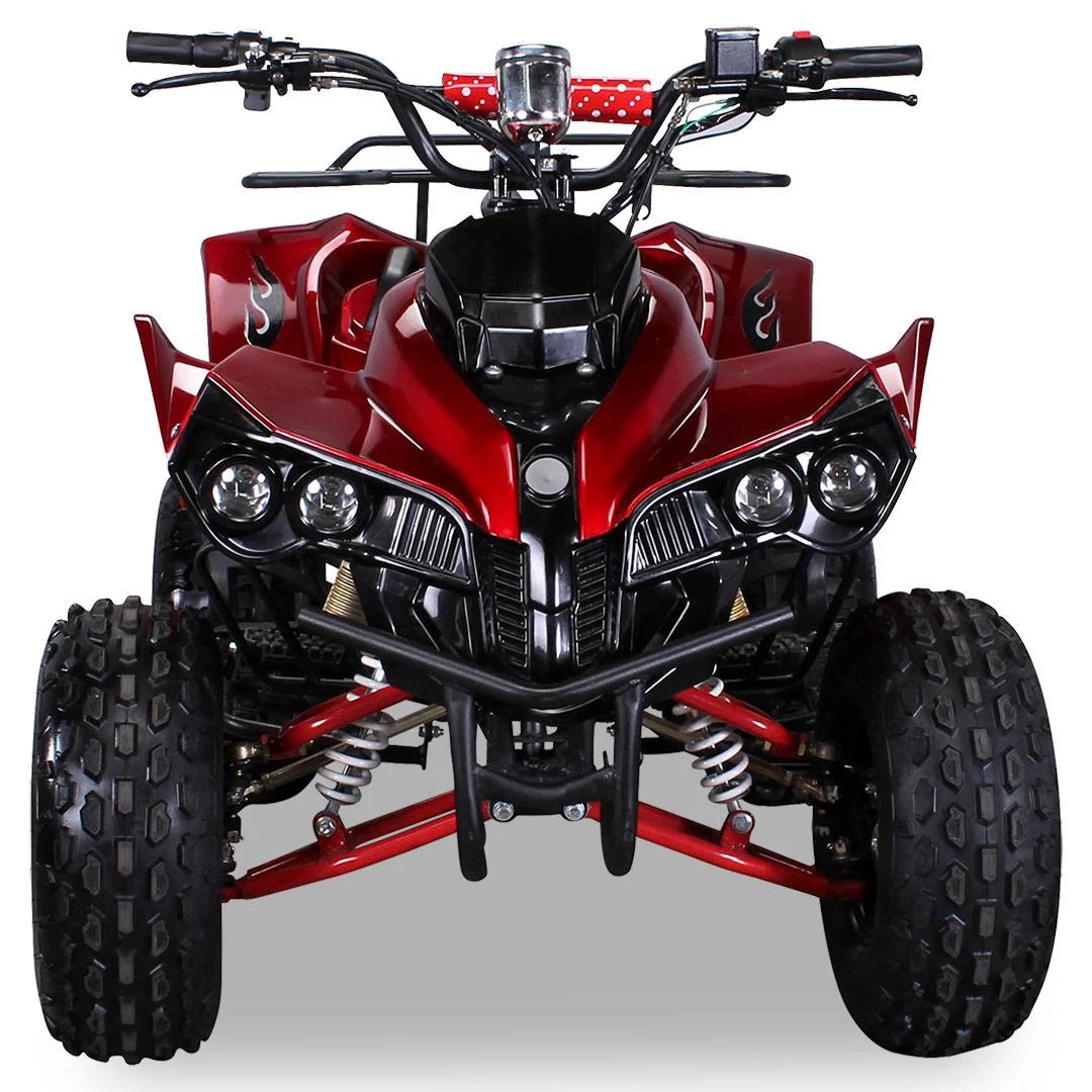 Quad Warrios elettrico 1000W 48V ruote da 8″, foto 8