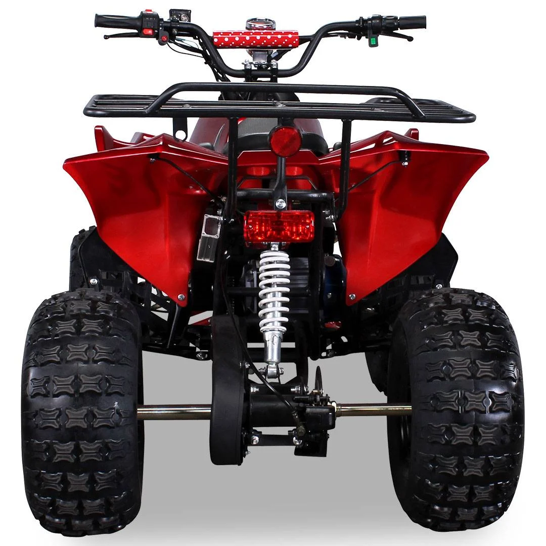 Quad Warrios elettrico 1000W 48V ruote da 8″, foto 7