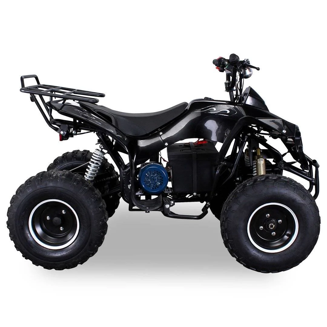 Quad Warrios elettrico 1000W 48V ruote da 8″, foto 2