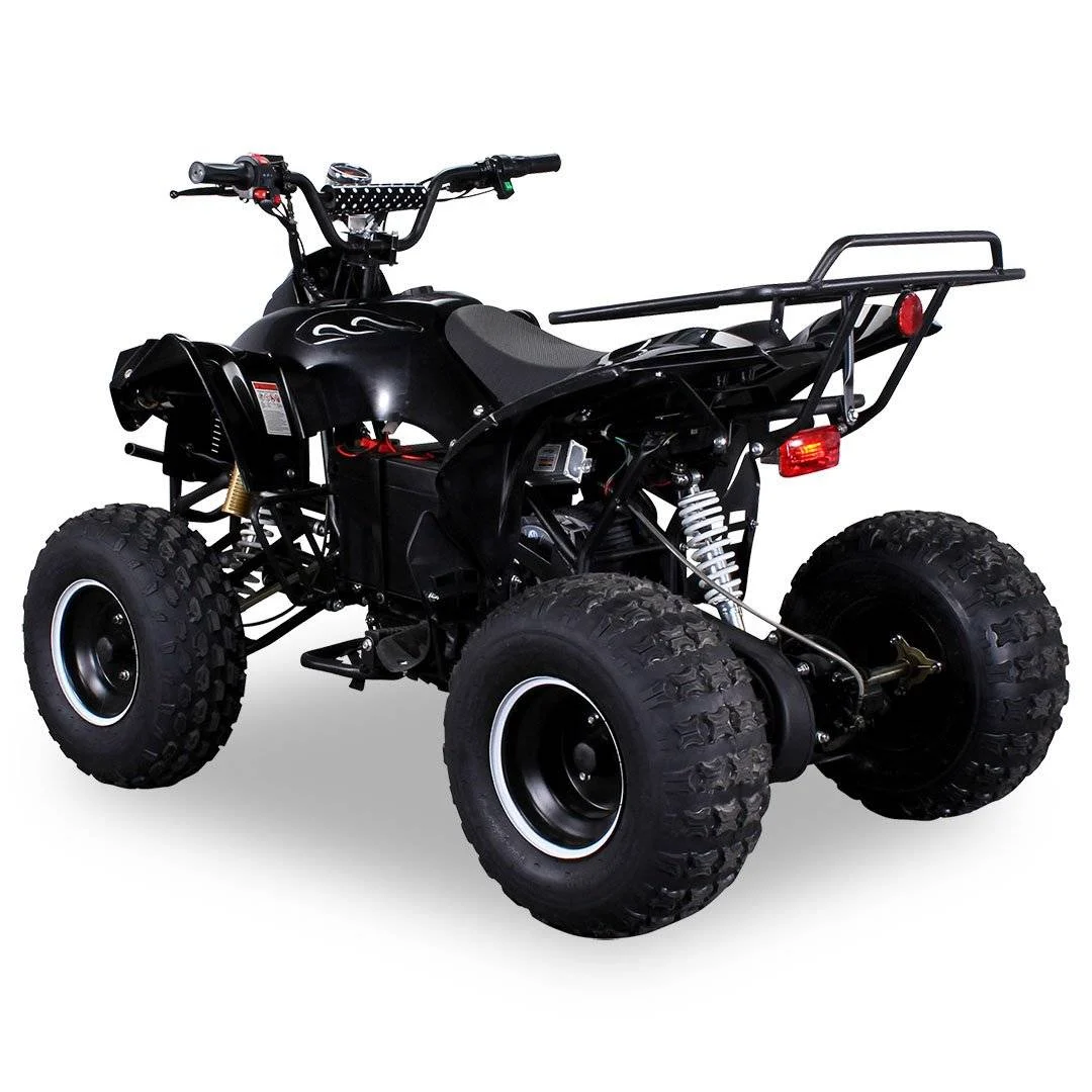 Quad Warrios elettrico 1000W 48V ruote da 8″, foto 4