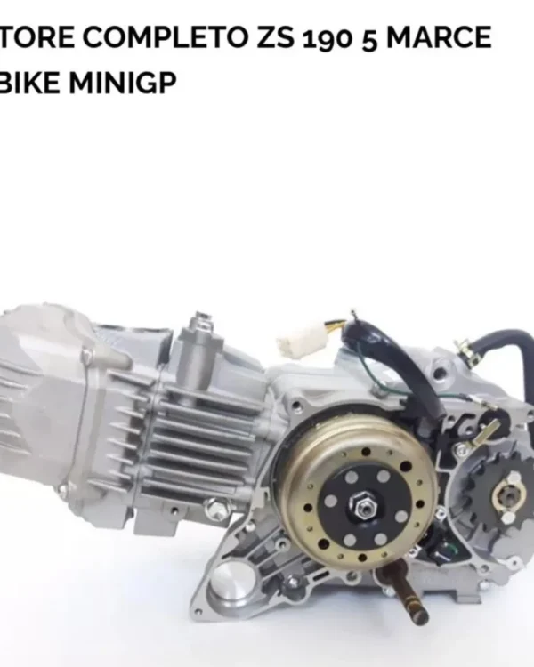 Motore completo ZS 190 5 marce pitbike minigp