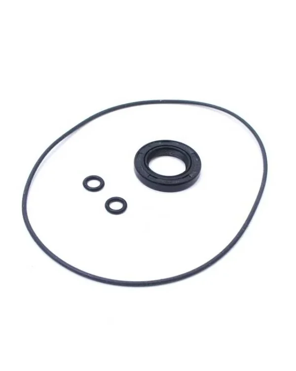 Kit o-ring accensione statore