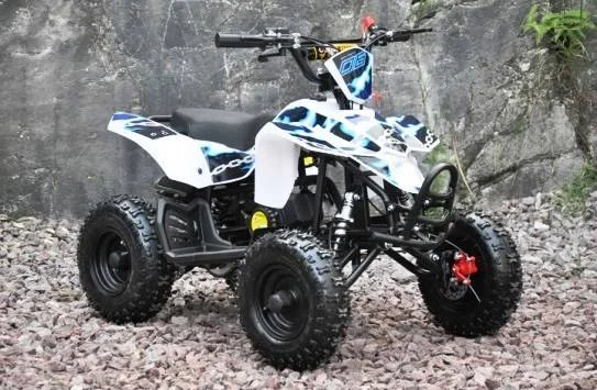 Mini quad Fox 50cc 2T ruota 6″