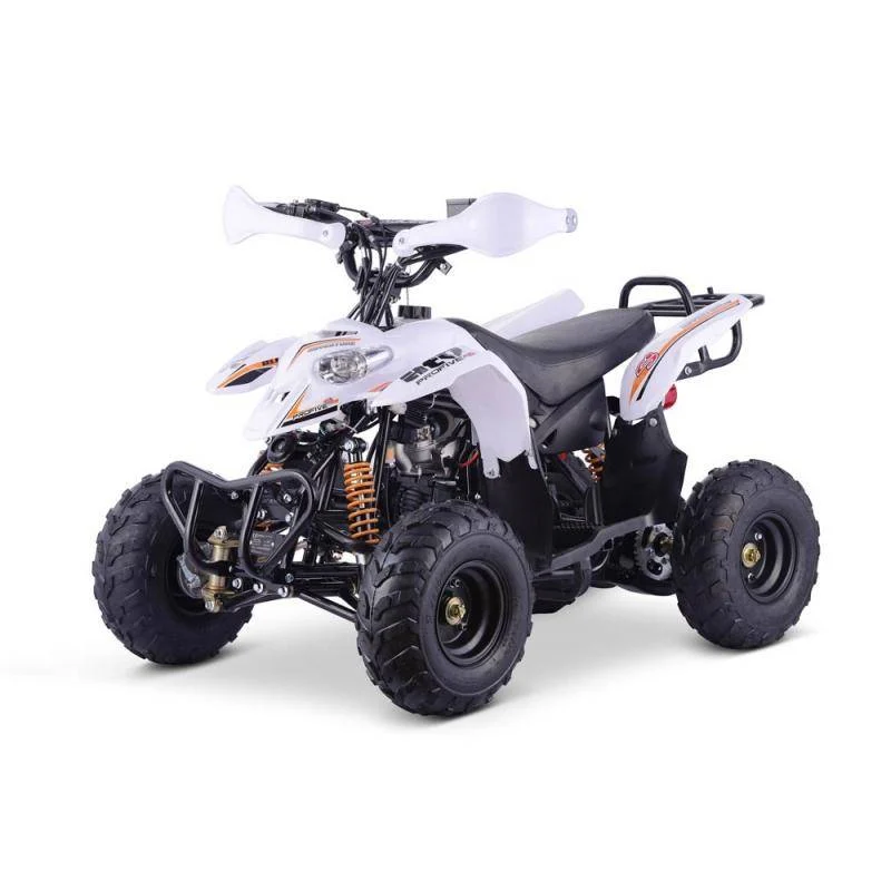 Carene plastica x quad modello Polaris S5 110/125cc, foto 6
